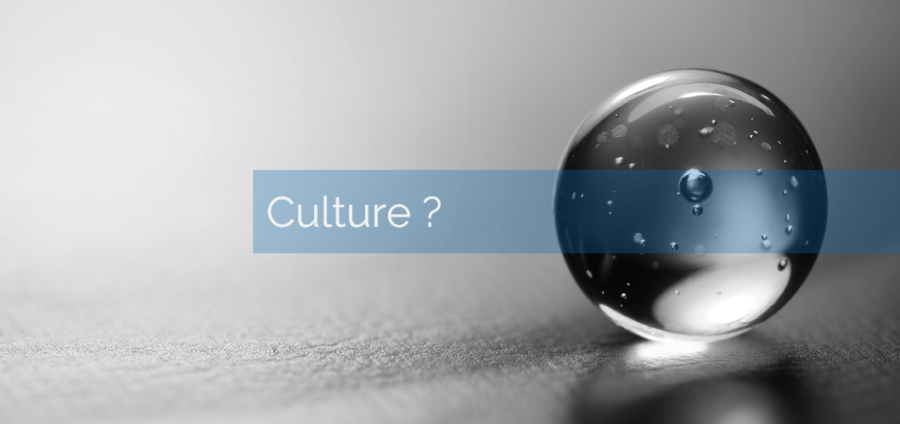 Par quel bout aborder la transformation digitale? épisode 1: par la culture?