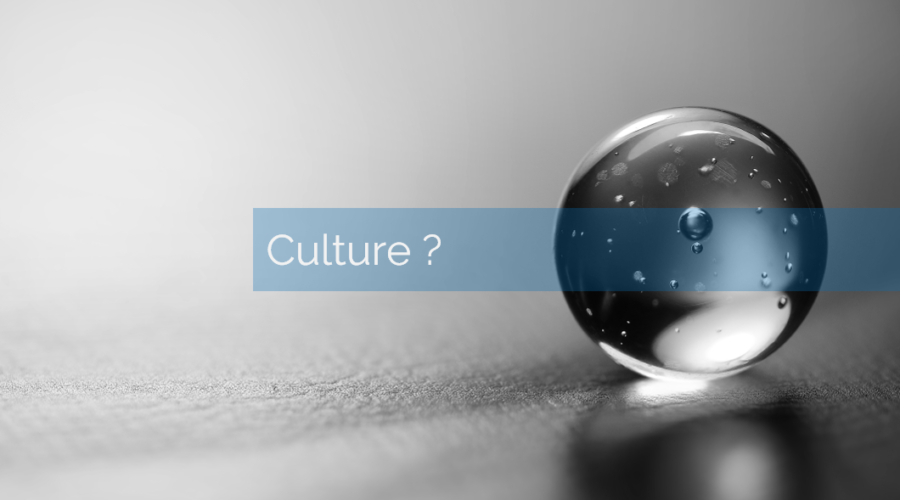 Par quel bout aborder la transformation digitale? épisode 1: par la culture?